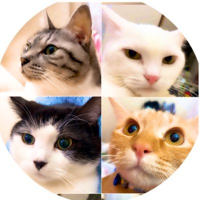 3匹＋2が斬る✦withニンゲン