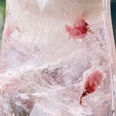 fummmy⊹࣪ ִֶָ ☾ 𝐵𝑎𝑐𝑘 𝑡𝑜 𝑙𝑖𝑓𝑒 ִ ִֶָ⊹₊