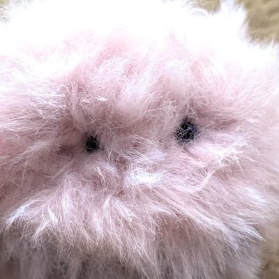 ﾘﾝﾋﾟﾋﾟ