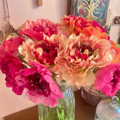 シャルロット🧸🎸🐠