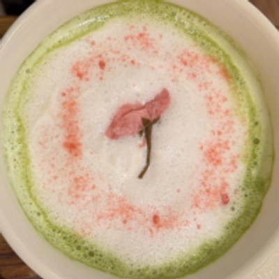 🍵コルク🎤🎤🐧