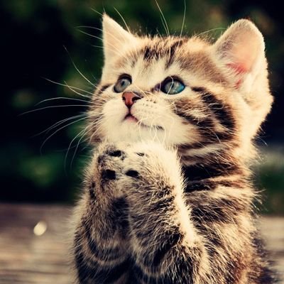 豆💜 ¹³ ☪ ₇