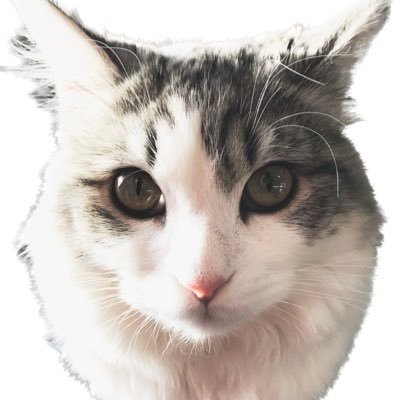 ビリージーン🌚