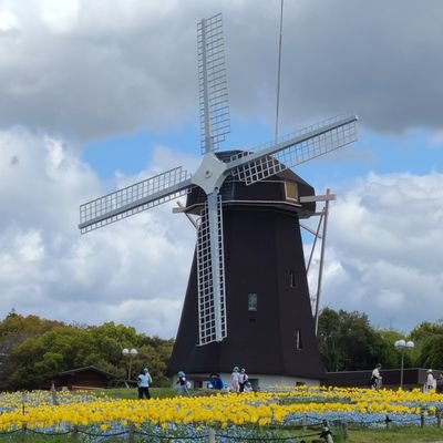 ライトごろ @6cXtEoh5qD44472