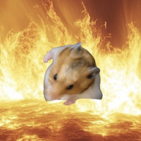 ナツノᴮᵘʳⁿⁱⁿᵍ ᴴᵃᵐˢᵗᵉʳ・ᵁᴼᴮᴼ