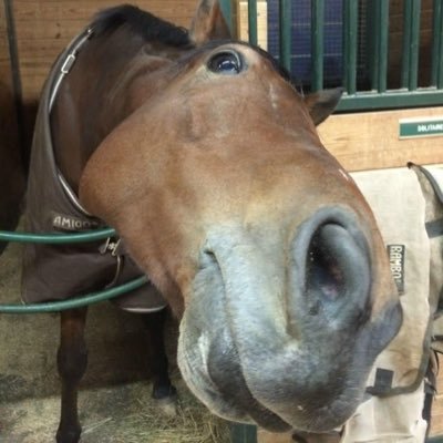 どぅどゅーす:)