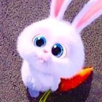 ツカピョヌスキー🐰