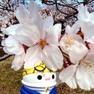 やなぎんんん12/9〜