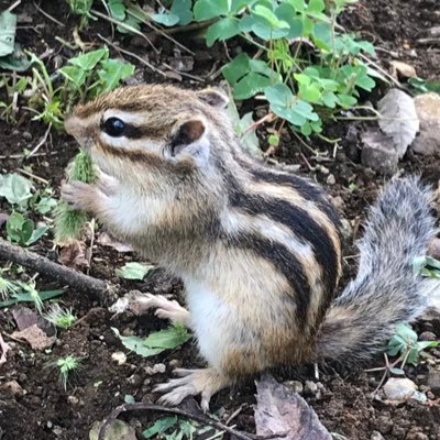 りっす☺︎🏷️🌚