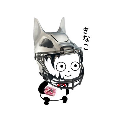 きなこたける🐼