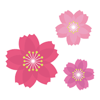 さくさくさくら