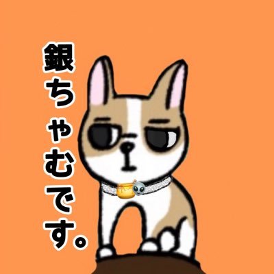 ねむたいチワワ