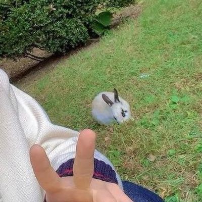 𝕞𝕚𝕟՞･·･՞