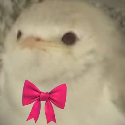 雨降る時には君の傘になろう