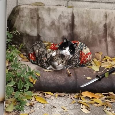 高橋正道（79期予定）