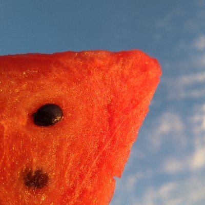 わーきんぐでっど🌻