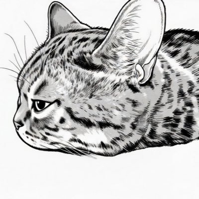 のんびり猫の世界