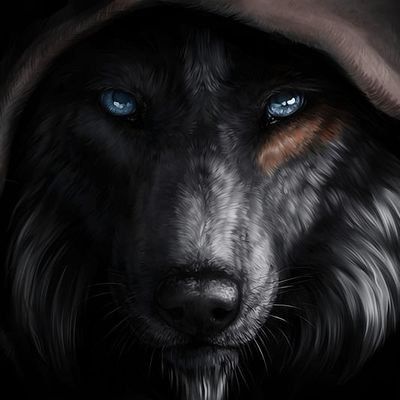 AlpharezCC