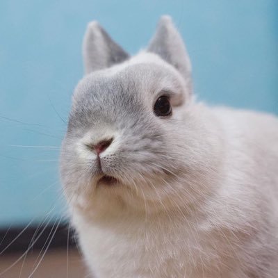 cHaPe(そーねちか)