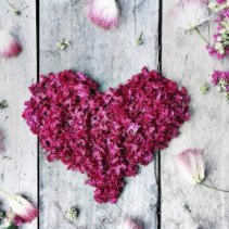 AmyemiAmy❤楽天ROOMとAmazonアソシエイト