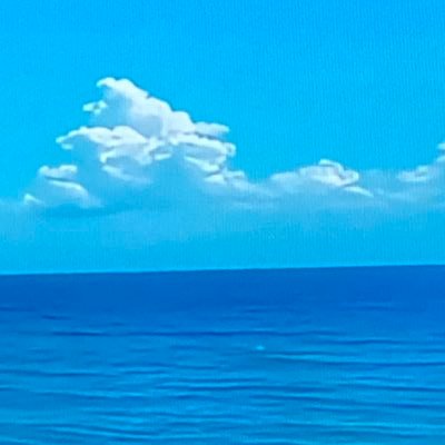 花とダイヤと宙