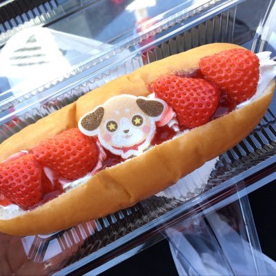 Ayaha(あやは)🧩坂田家