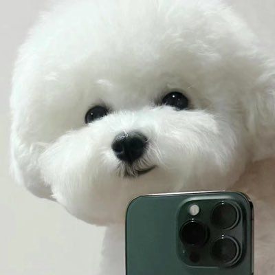 Chämmǒʕ •́؈•̀ ₎