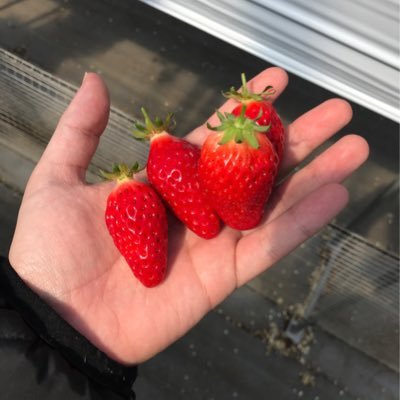 みーくん。🌈🕒