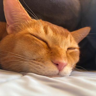 KANA🌻固定ツイ