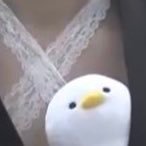 シマエナガちゃん