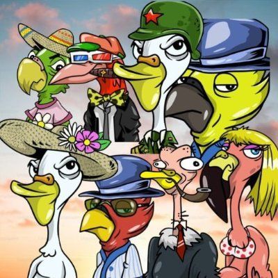 BirdzMedia