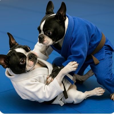 しげお🇸🇪🫎40🇯🇵🦏遊牧民