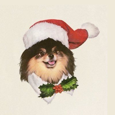 🫟ファンデナナコ(仮)