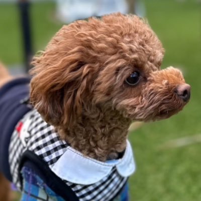 Bunta-まり🌹🐉🍓🌙