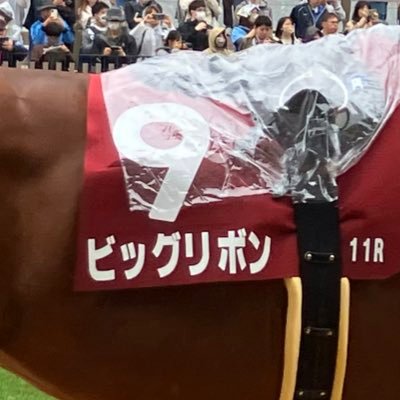 ◎マイネルケレリウス