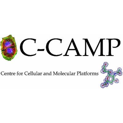 CCAMP_India