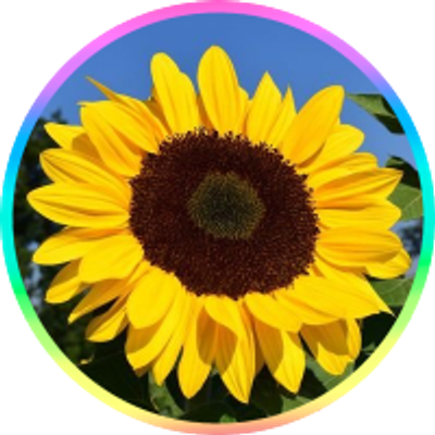 🐯🍚🍓KAYO💚SHINGO💎🗼🐰