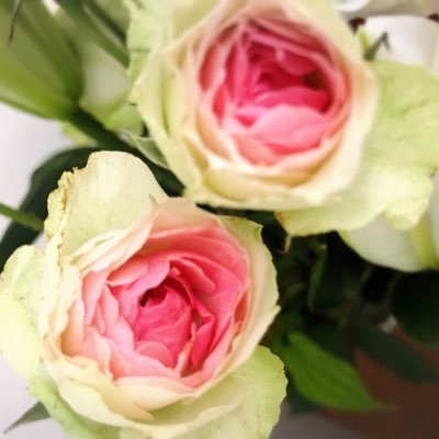 hallelu(ハレル)💫