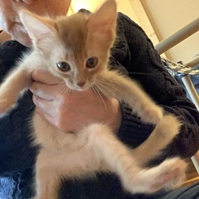 ミラクルちゅん@ルチルとラピス✨