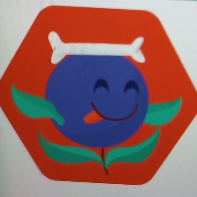 CustodianMr