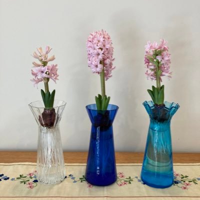 はなちゃん２＠