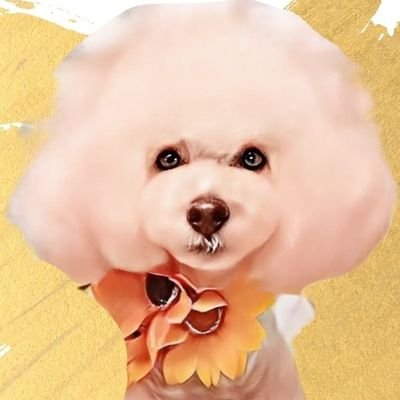 🐕ひろたん🤼