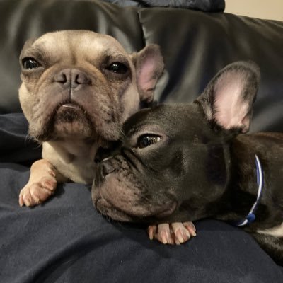 ふれぶる♡さら♡リホ