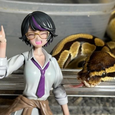 🐰如月🐍@雑貨屋模型人日暮里1/24、25