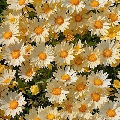 ✿