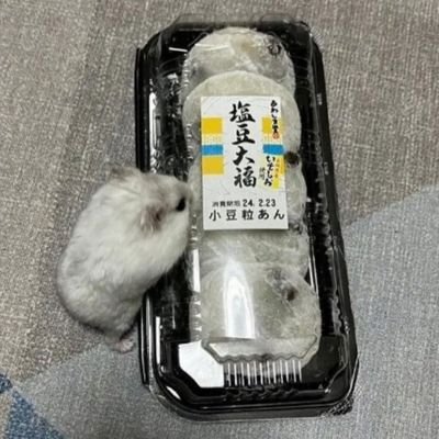 스칼렛