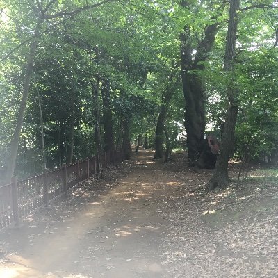 中道🌾Gamj 🇷🇴