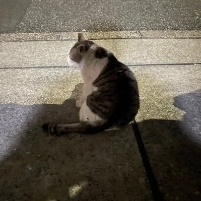 ガオシャン