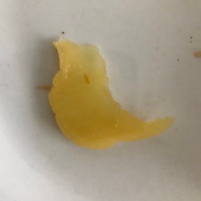 ひよこたくあん