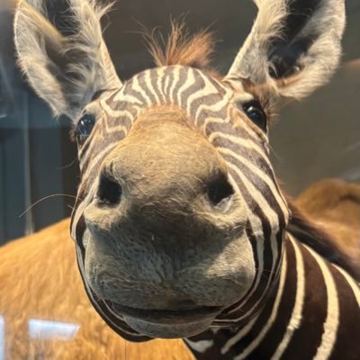 "ぐ"らい✨あす